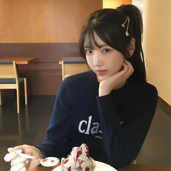 科搜研之女2022